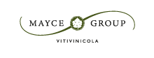 Mayce Group Vitivinícola